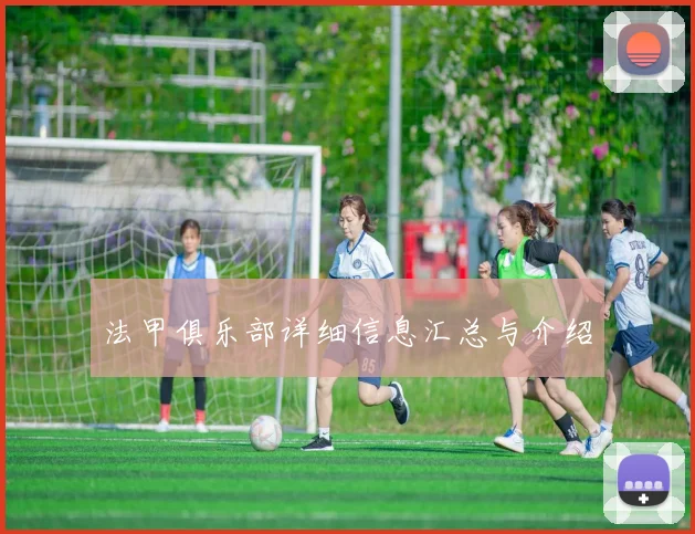 法甲俱乐部详细信息汇总与介绍